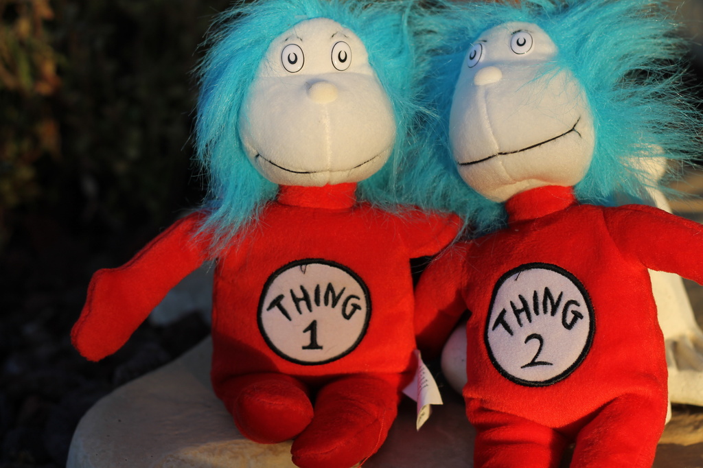 Thing 1 and Thing 2 by judyc57