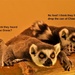 The Trouble With Lemurs! by joysfocus