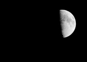 14th Aug 2013 - Moon