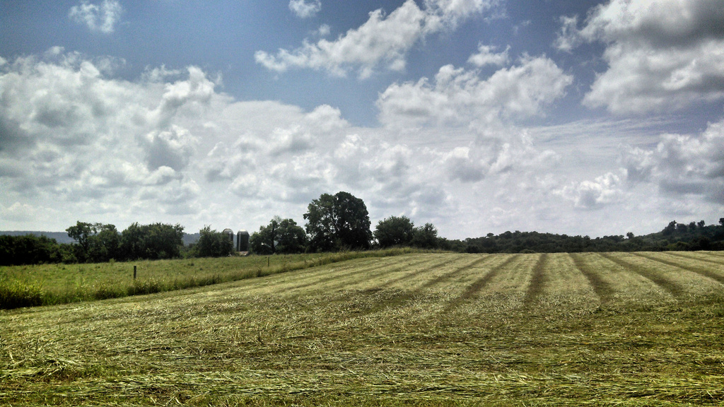 Hay cutting weather by cjwhite