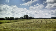 14th Aug 2013 - Hay cutting weather