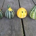Gourd Friends by julie