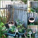 Part Two! Backyard Makeover! by mozette