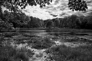 14th Aug 2013 - Beaver's Lodge in Black and White