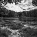 Beaver's Lodge in Black and White by taffy