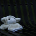 Lost Lamb Chop by lstasel