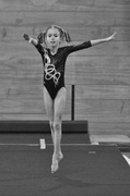 11th Aug 2013 - Elegant Gymnast