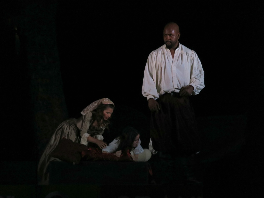 Shakespeare in the park (dark)  by corktownmum