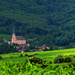 Alsace~6 by seanoneill