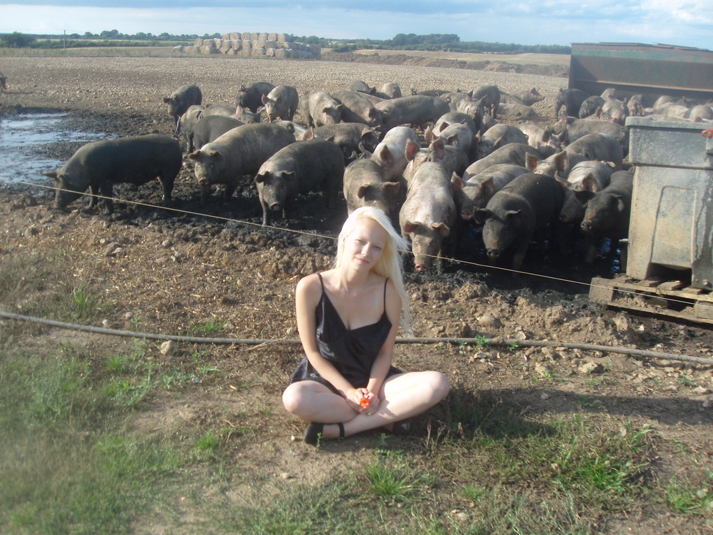 Lady and the pigs by motorsports