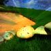 Magic Mushrooms? by jamibann