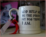 16th Aug 2013 - The dog owners mug.