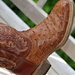 Manly Footwear by peggysirk