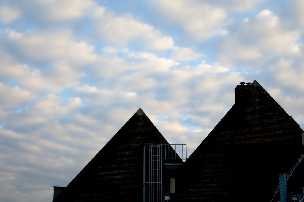 Hotel window view:  Looking up by jyokota