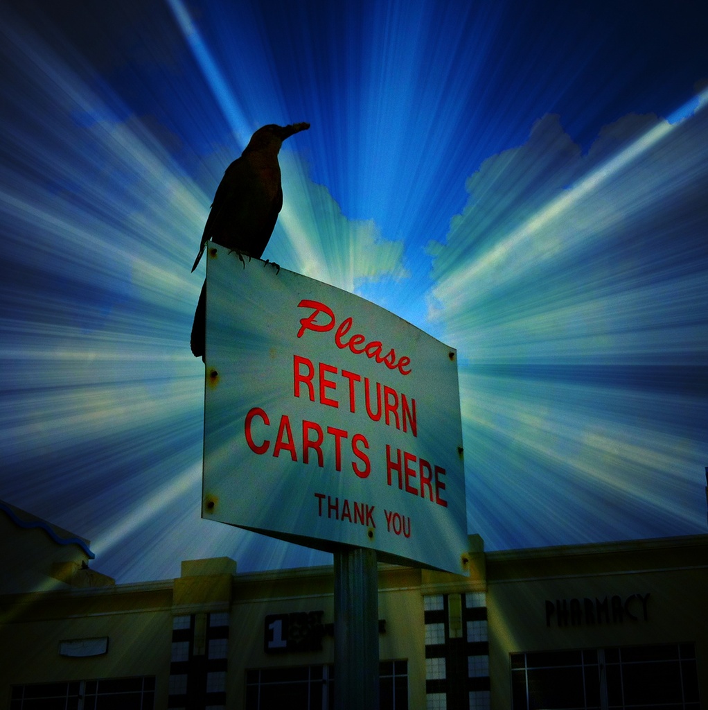 Please Return Carts Here! by jamibann