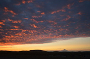 17th Aug 2013 - Mt. Hood at Sunrise