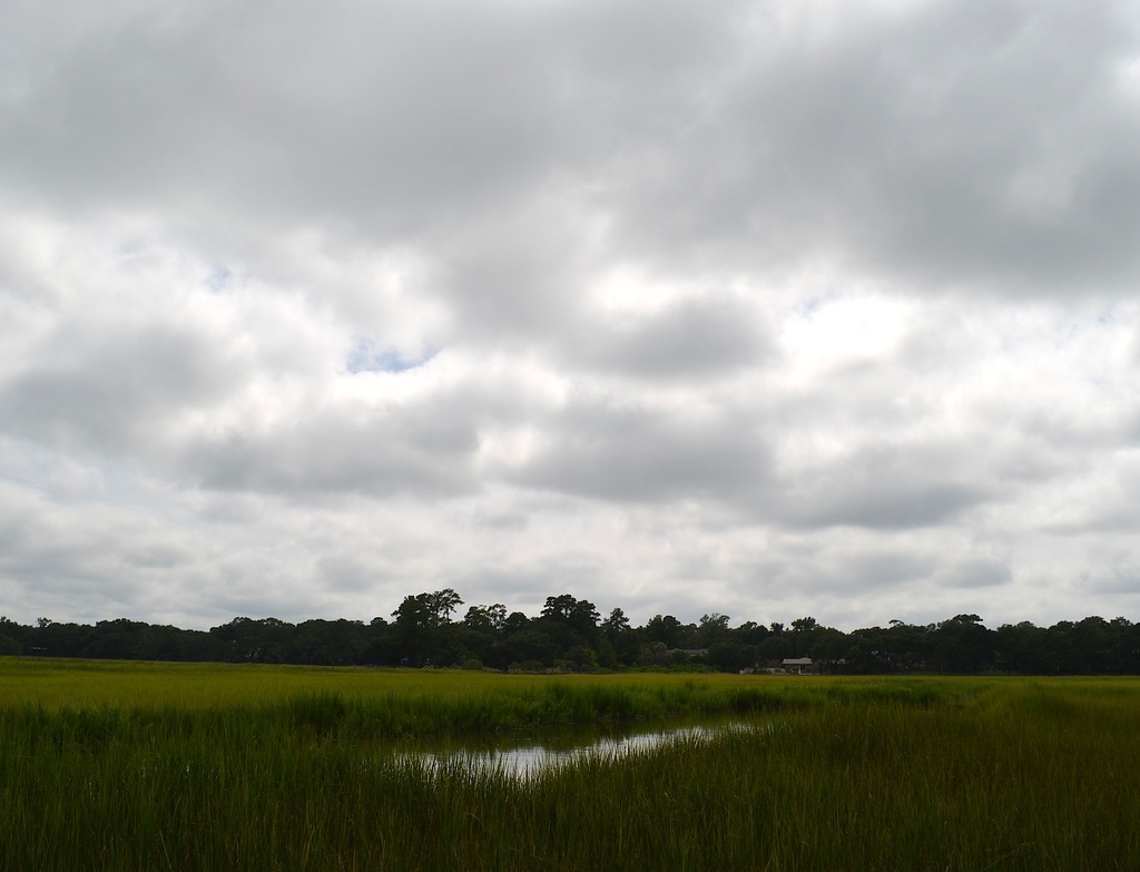 Sky, marsh and clouds -- Charles Towne Landing State Historic Site, Charleston, SC by congaree