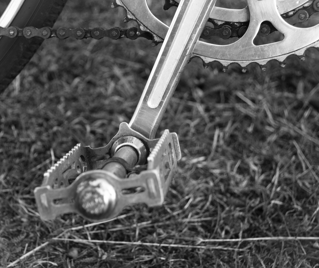 Bicycle pedal by manek43509