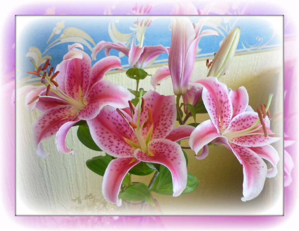 Love my own lilies by sarah19