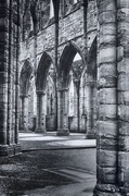 18th Aug 2013 - Tintern Abbey, South Wales....
