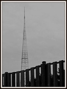 19th Aug 2013 - Local Eiffel Tower