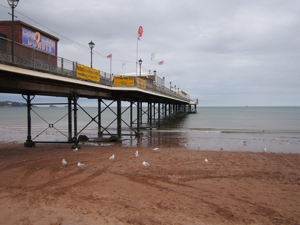 Pier at Paignton by pamelaf