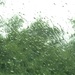 Rainy Days and Sundays.... by grammyn