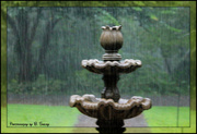 31st Jul 2013 - Rain