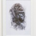 Gorilla..... by anne2013