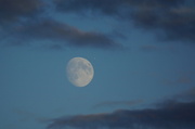 18th Aug 2013 - FLY ME TO THE MOON