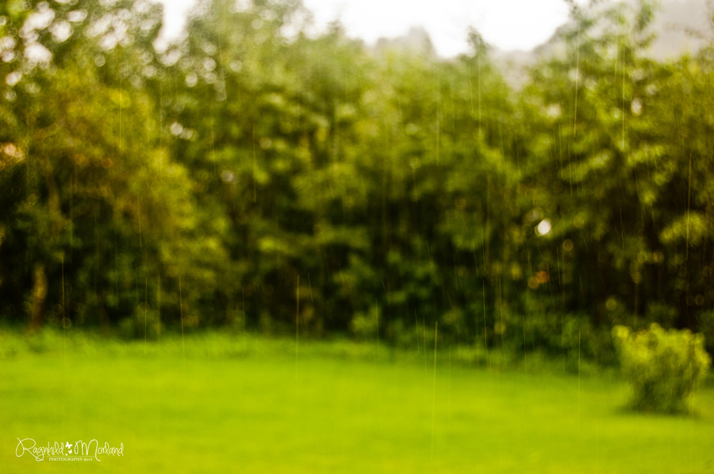 Raining by ragnhildmorland