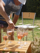 10th Aug 2013 - Champagne in the sun