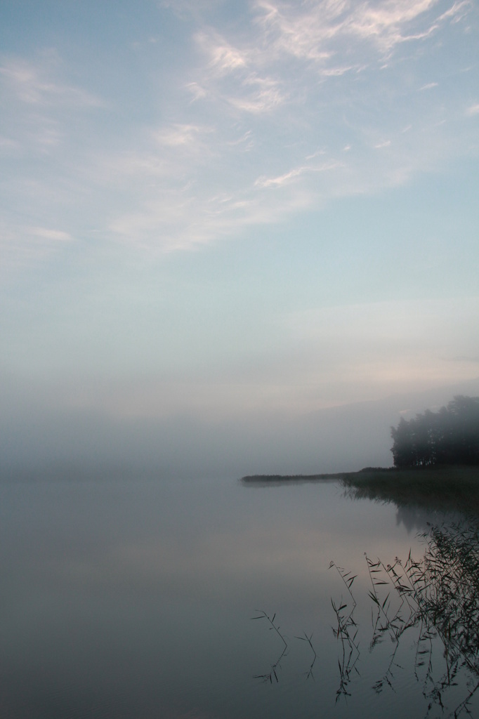 Misty morning II by susale