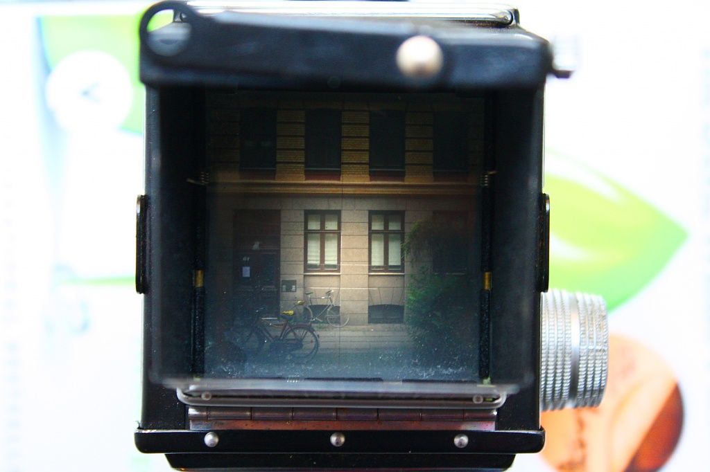 Looking through the viewfinder by lily