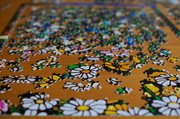 18th Aug 2013 - Family Addiction to Puzzles