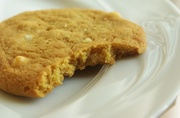 15th Aug 2013 - (Day 183) -  Macedonian Nut Cookie