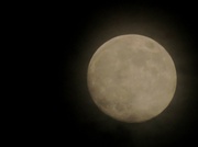 19th Aug 2013 - Dark Moon