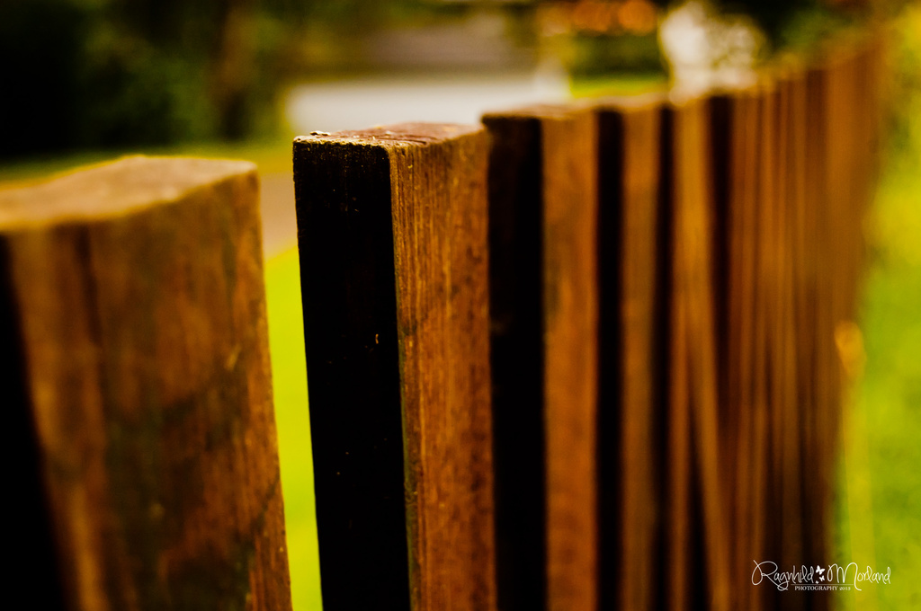 Fence by ragnhildmorland