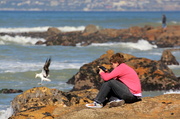 10th Aug 2013 - Looking for a painting