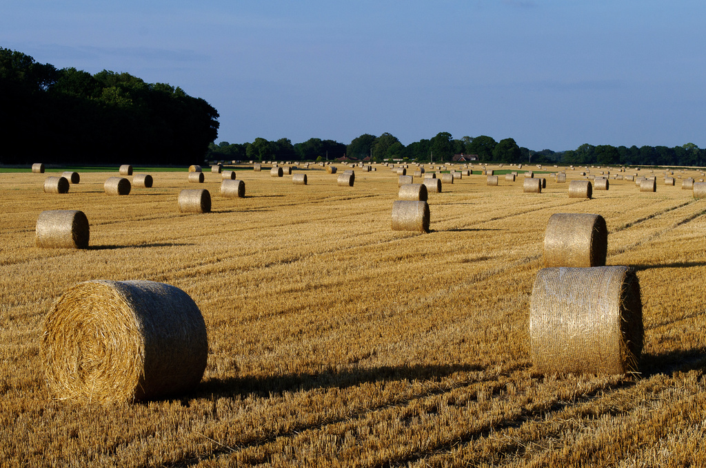 Bales by andycoleborn