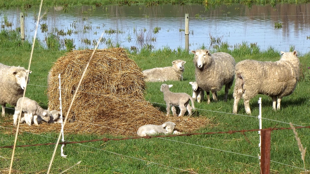 Rural motherhood by maggiemae
