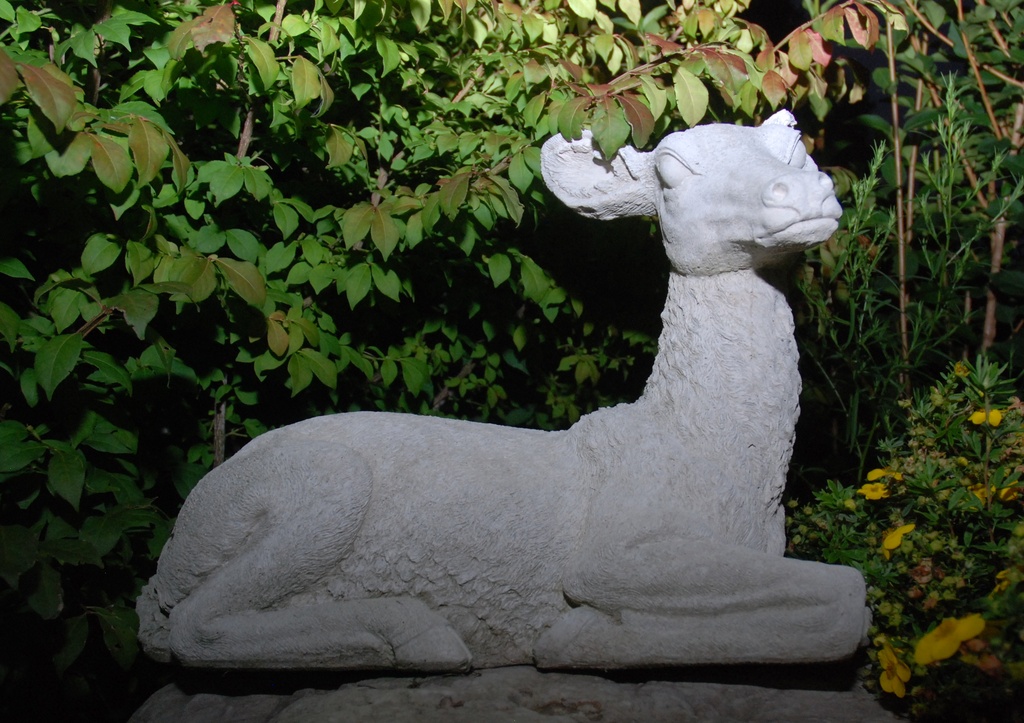  Deer Statue  by farmreporter