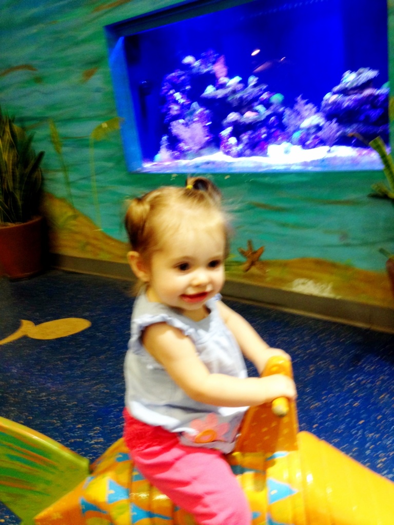 Riding a fish at the zoo by mdoelger