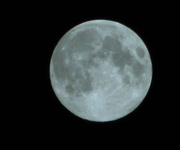 20th Aug 2019 - blue moon   20.8.13