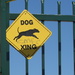 Dog Crossing by lisasutton