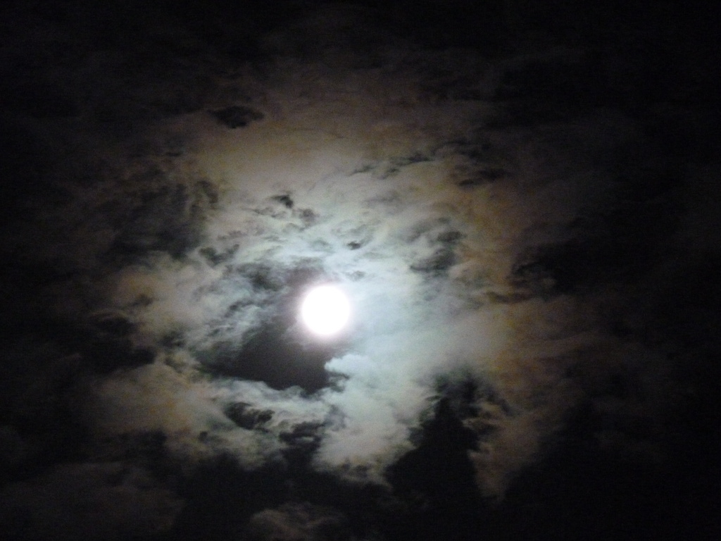 Night sky by lellie
