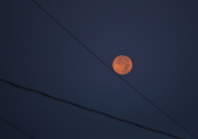 21st Aug 2013 - Rolling Moon