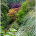 Botanic Gardens by judithdeacon