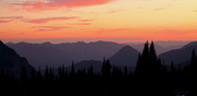 19th Aug 2013 - Sunset over Nisqually at Mt Rainier