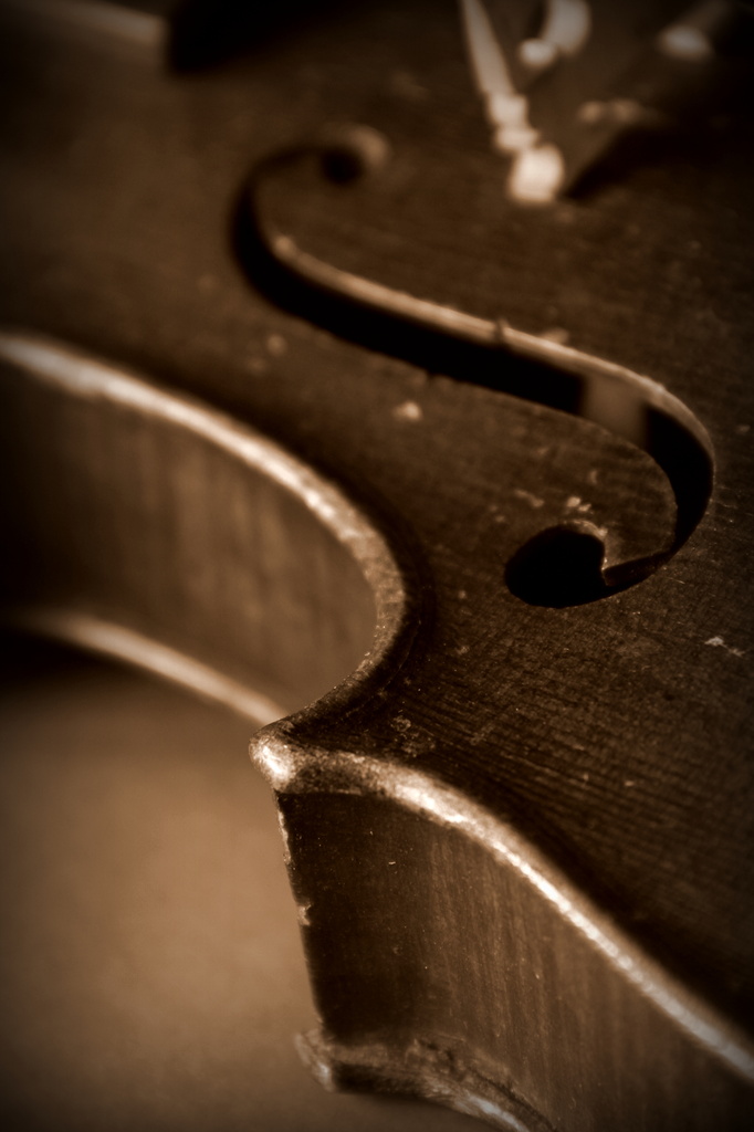 The Old Violin by calm